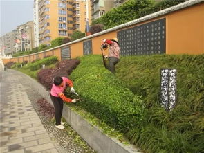 城市园林树木修剪造型方法